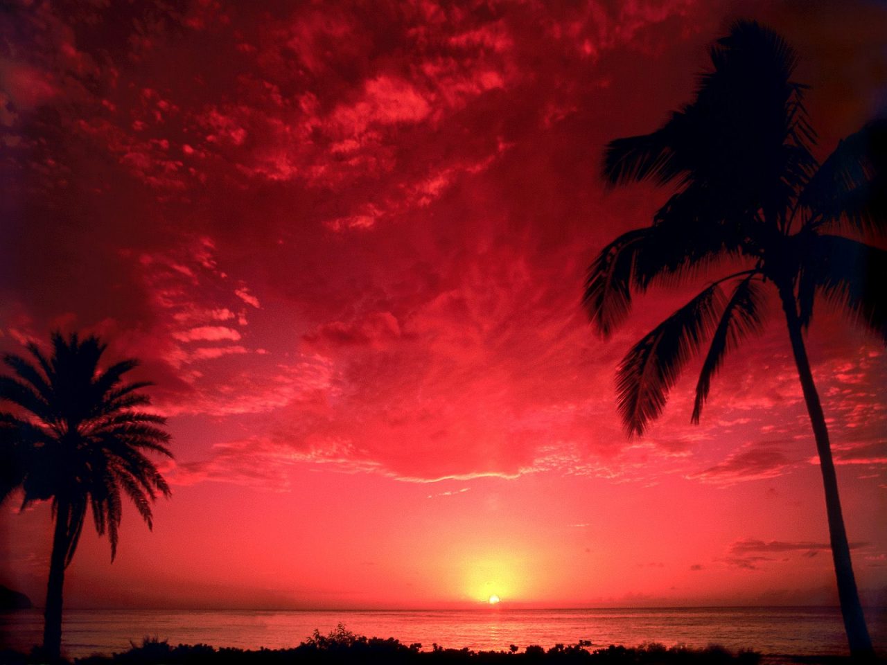 Beautiful Mind Relaxing Sunset Evening Hd Wallpaper