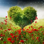 Wonderful Heart Shape Love HD Images Collection For Wallpapers