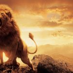 Wild And Blood-Thirsty Lions Amazing Pictures For Wallpapers