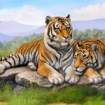 Wonderful HD Wallpapers Of Wild Life Animal Tiger